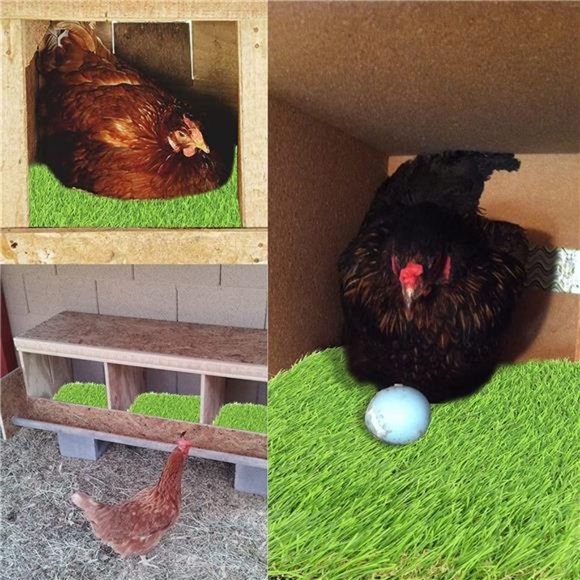 Chicken Nesting Pads 6Pack Nesting Box Pads 12”x12” Artificial Grass Washable - Picture 6 of 6